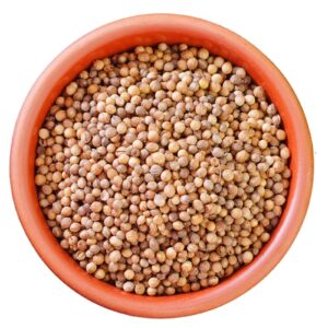 Coriander seeds