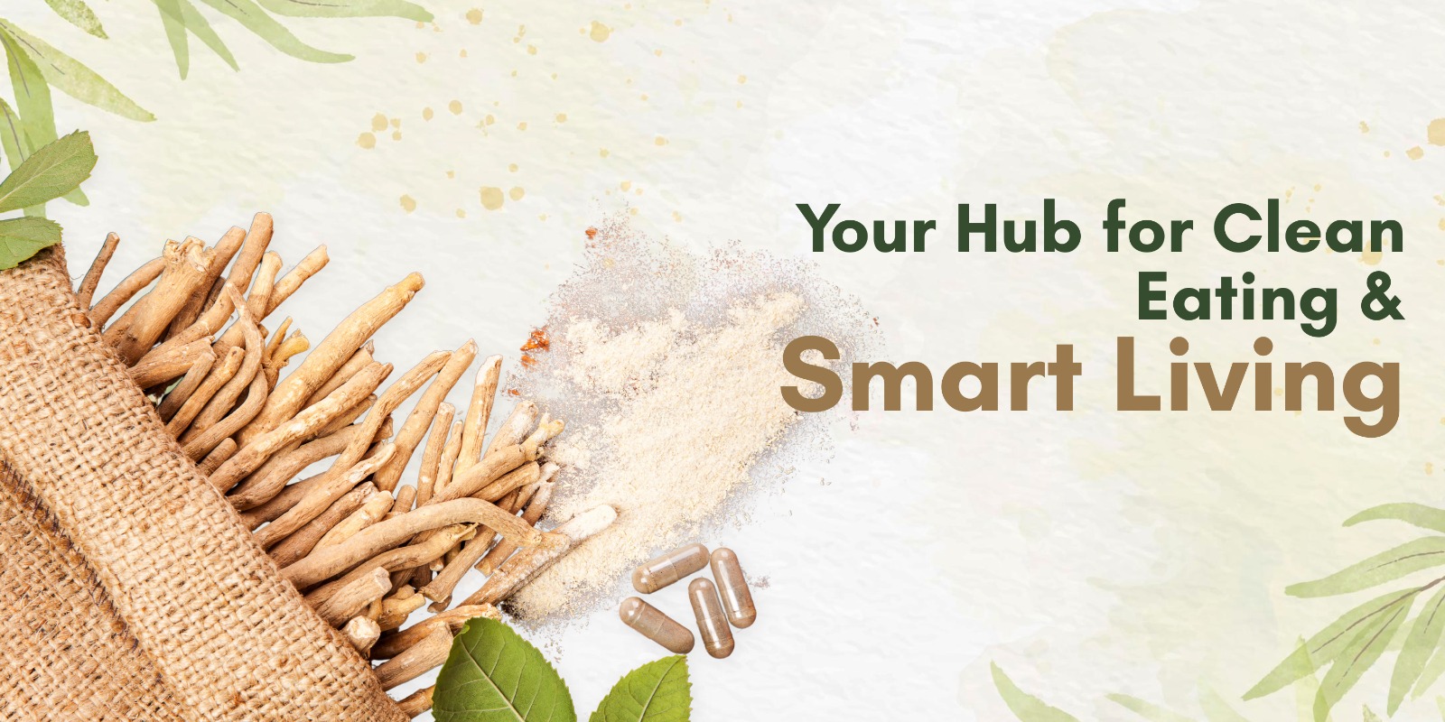 WhatsApp Image 2025-11-13 at 7.48.40 PM